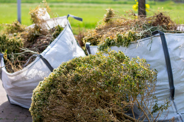 Professional Junk Removal in Kendallville, IN